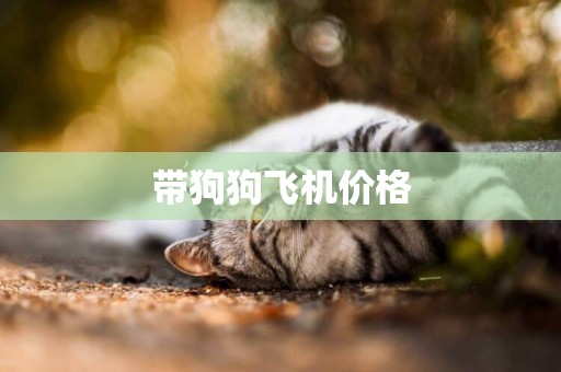 帶狗狗飛機價格