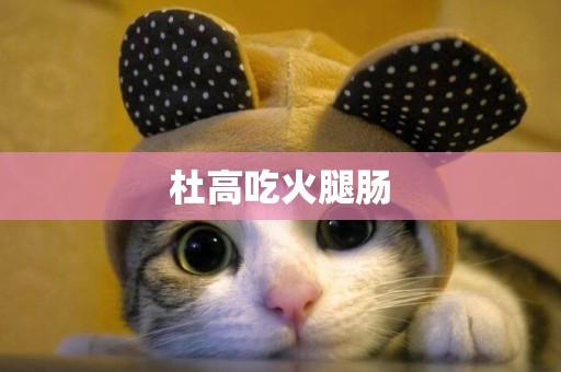 杜高吃火腿腸