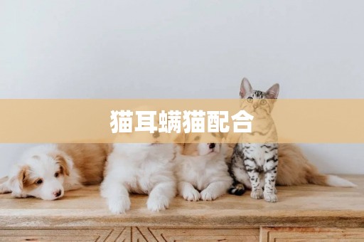 貓耳螨貓配合