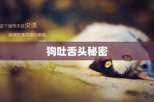 狗吐舌頭秘密