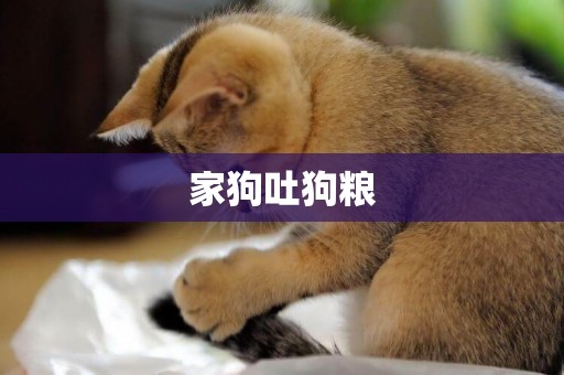家狗吐狗糧