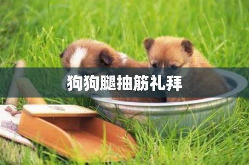狗狗腿抽筋禮拜