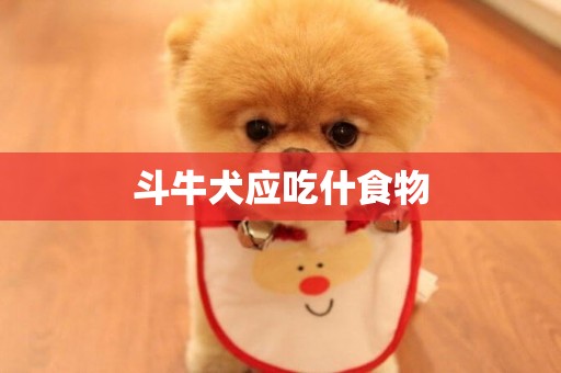 斗牛犬應吃什食物