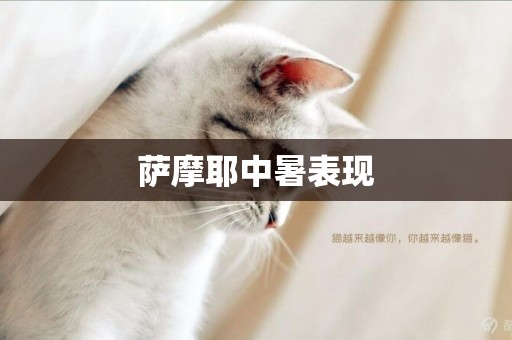 薩摩耶中暑表現
