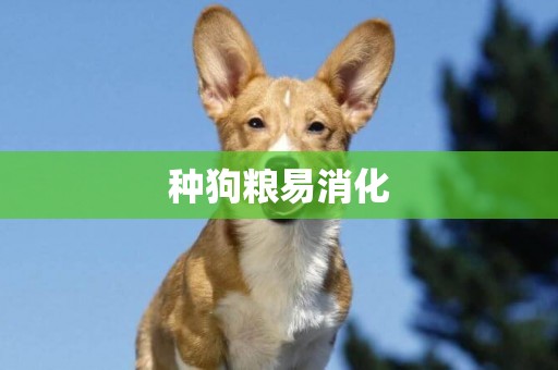 種狗糧易消化