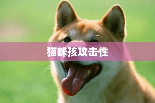 貓咪孩攻擊性