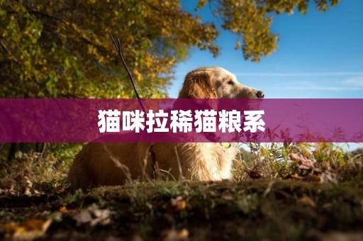 貓咪拉稀貓糧系