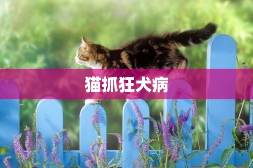 貓抓狂犬病