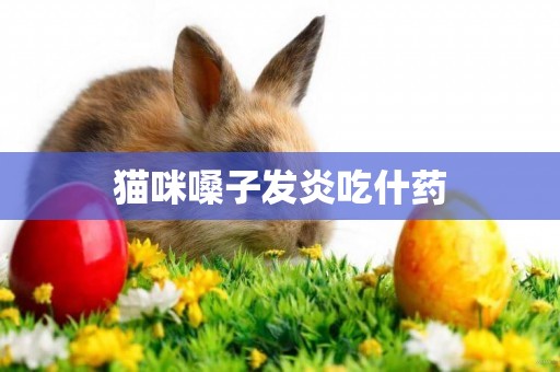 貓咪嗓子發炎吃什藥
