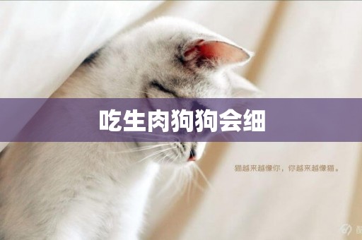 吃生肉狗狗會細