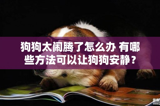 狗狗太鬧騰了怎么辦 有哪些方法可以讓狗狗安靜? 狗狗太鬧騰了怎么辦 有哪些方法可以讓狗狗安靜?