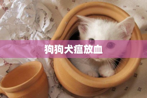 狗狗犬瘟放血