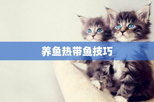 養魚熱帶魚技巧