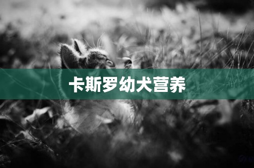 卡斯羅幼犬營養