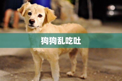 狗狗亂吃吐