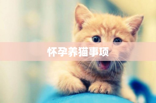 懷孕養貓事項