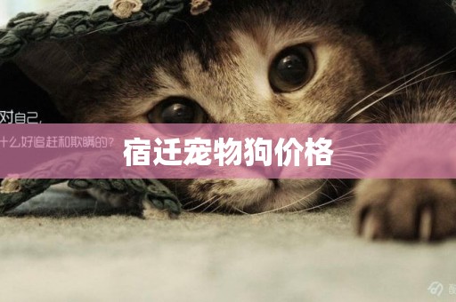 宿遷寵物狗價格