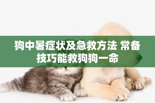 狗中暑癥狀及急救方法 常備技巧能救狗狗一命