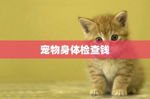 寵物身體檢查錢
