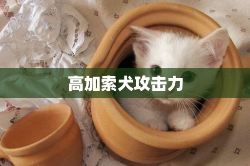 高加索犬攻擊力