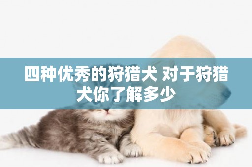四種優秀的狩獵犬 對于狩獵犬你了解多少