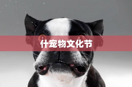 什寵物文化節