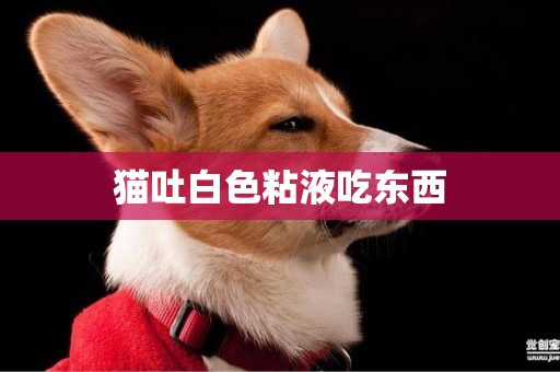 貓吐白色粘液吃東西