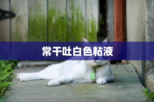 常干吐白色粘液