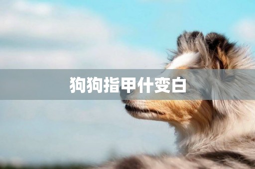 狗狗指甲什變白