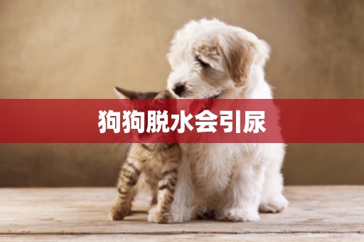 狗狗脫水會引尿