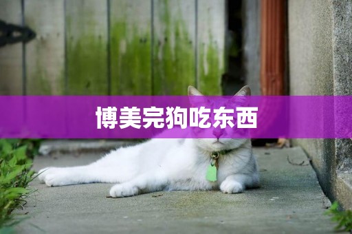 博美完狗吃東西