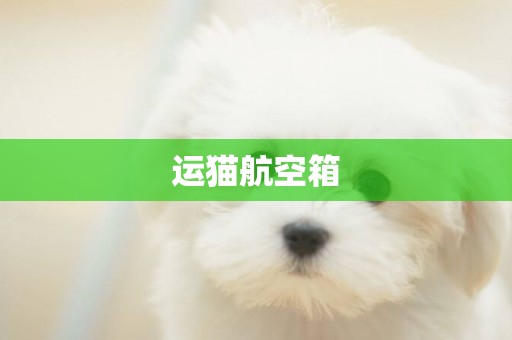 運貓航空箱