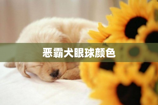 惡霸犬眼球顏色