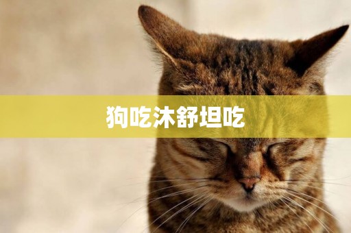 狗吃沐舒坦吃