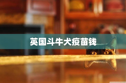 英國斗牛犬疫苗錢