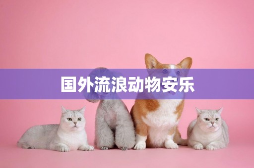 國外流浪動物安樂