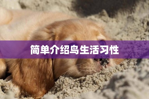 簡單介紹鳥生活習性