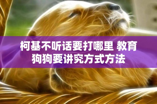 柯基不聽話要打哪里 教育狗狗要講究方式方法