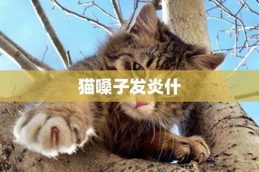 貓嗓子發炎什