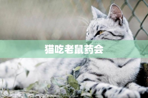 貓吃老鼠藥會