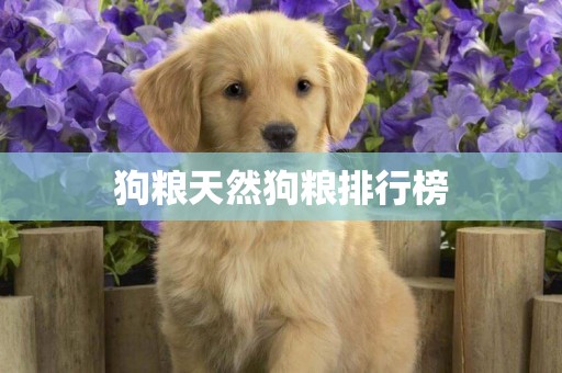 狗糧天然狗糧排行榜