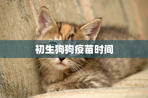 初生狗狗疫苗時間
