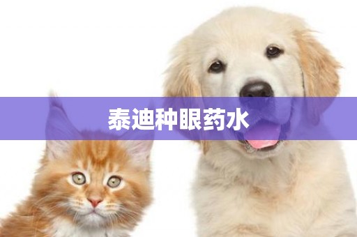 泰迪種眼藥水
