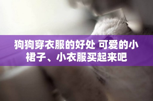 狗狗穿衣服的好處 可愛的小裙子、小衣服買起來吧 狗狗穿衣服的好處 可愛的小裙子、小衣服買起來吧