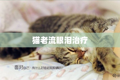 貓老流眼淚治療