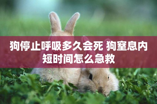 狗停止呼吸多久會死 狗窒息內短時間怎么急救