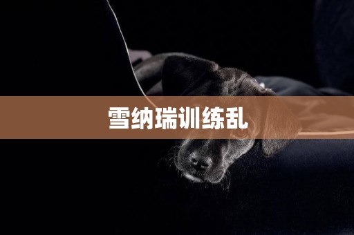 雪納瑞訓練亂