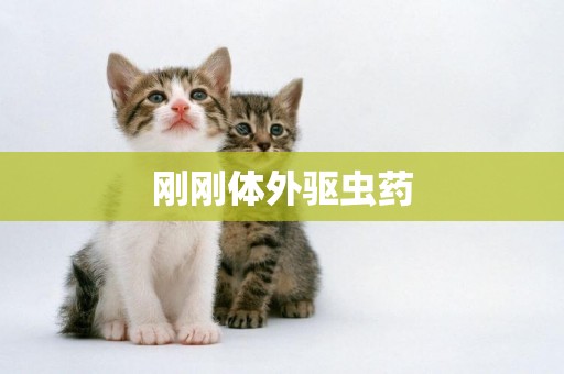 剛剛體外驅蟲藥