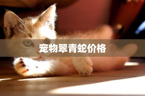 寵物翠青蛇價格