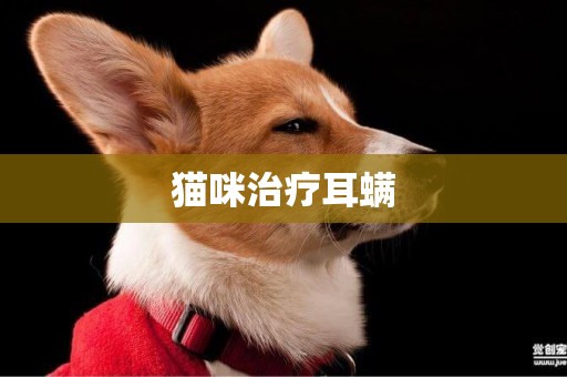 貓咪治療耳螨
